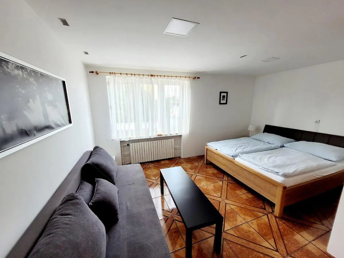 Wellness Aqua House Villa Prag